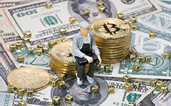 公益植树有助于振兴农村振兴